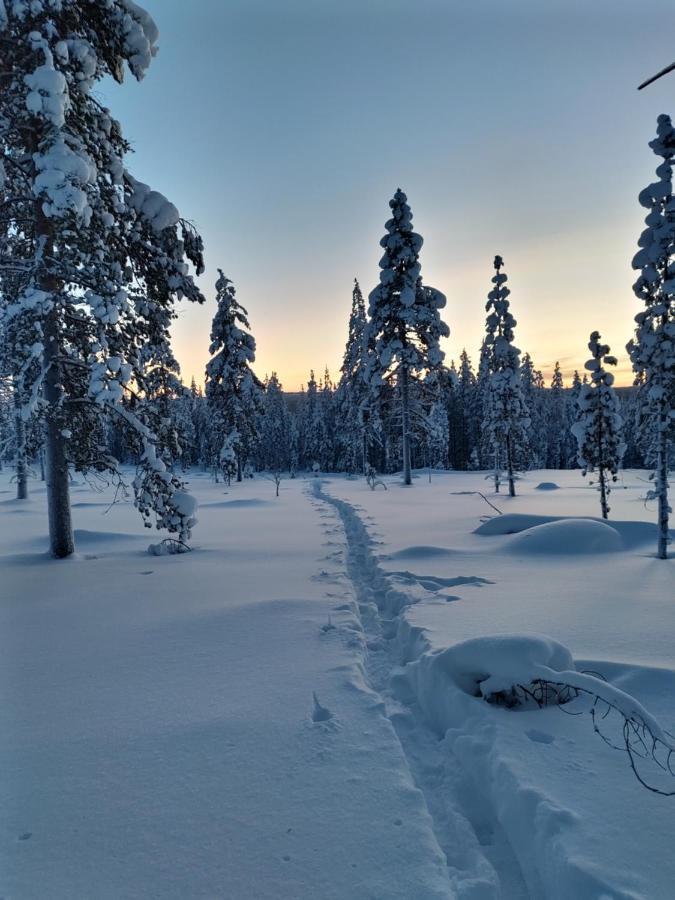 Villanorva Saarenkylä Eksteriør billede