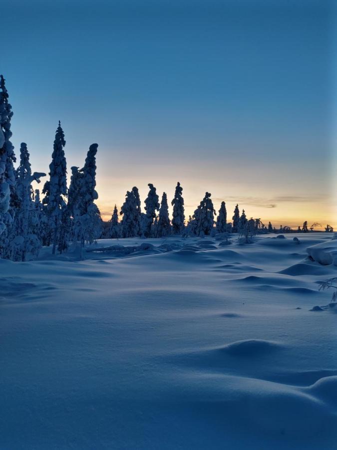 Villanorva Saarenkylä Eksteriør billede
